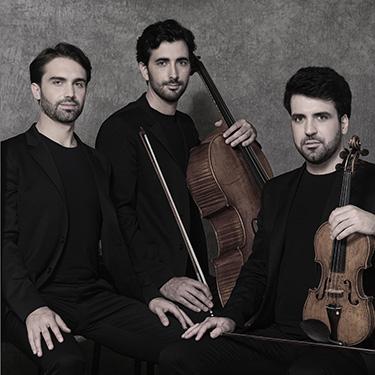 Trio Zadig